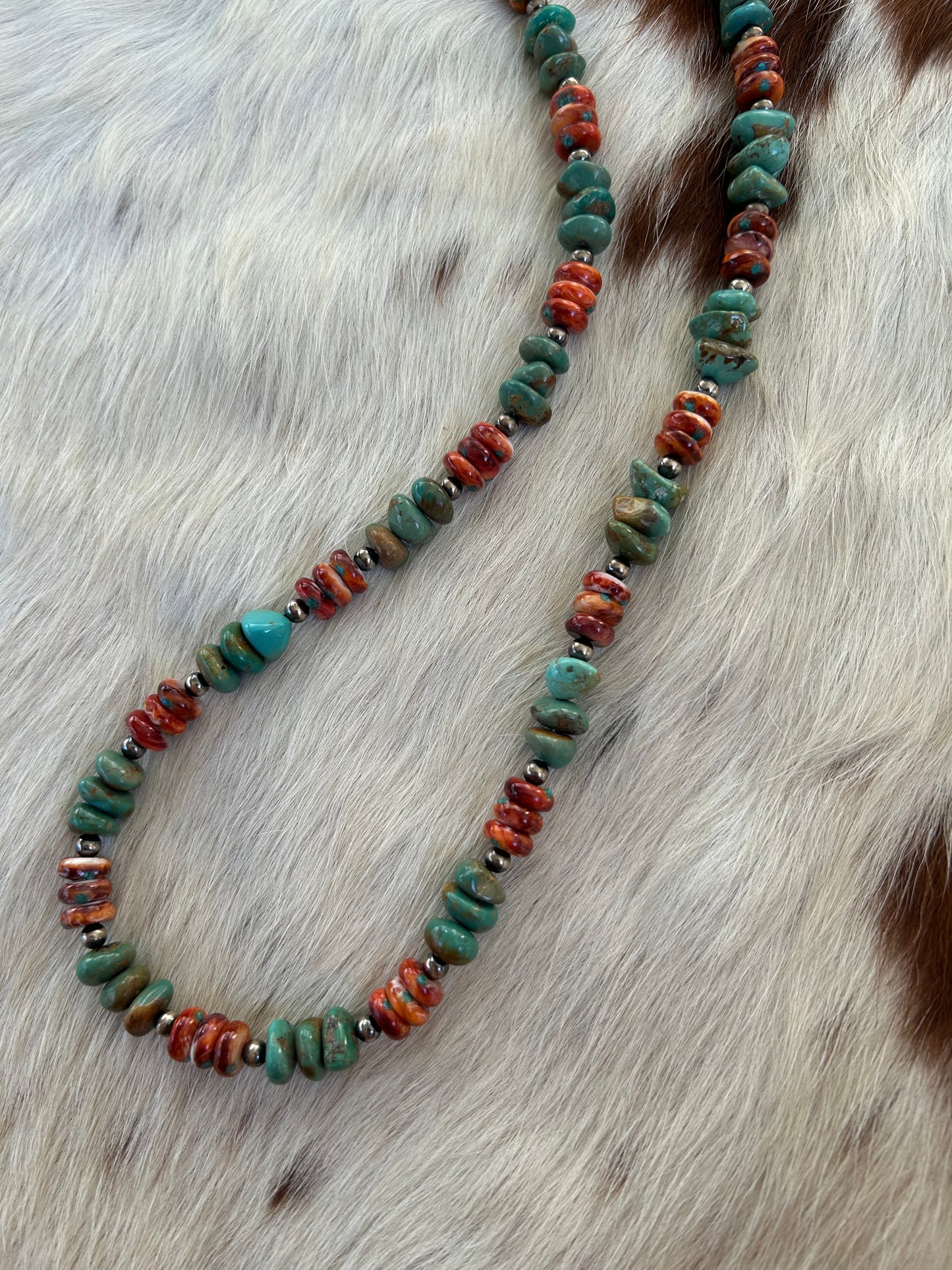 Large spiny and turquoise