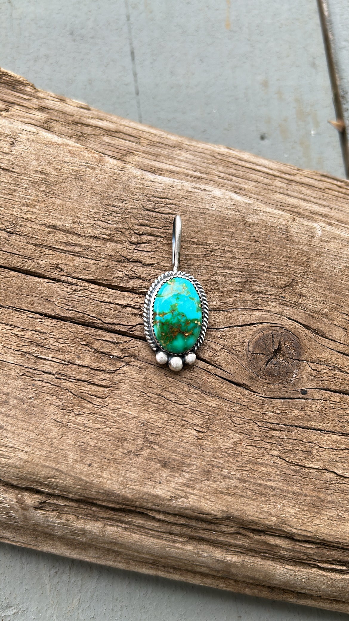 Sonoran mountain pendant