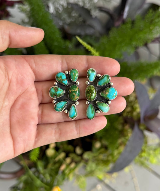 Sonoran Mountain turquoise clusters