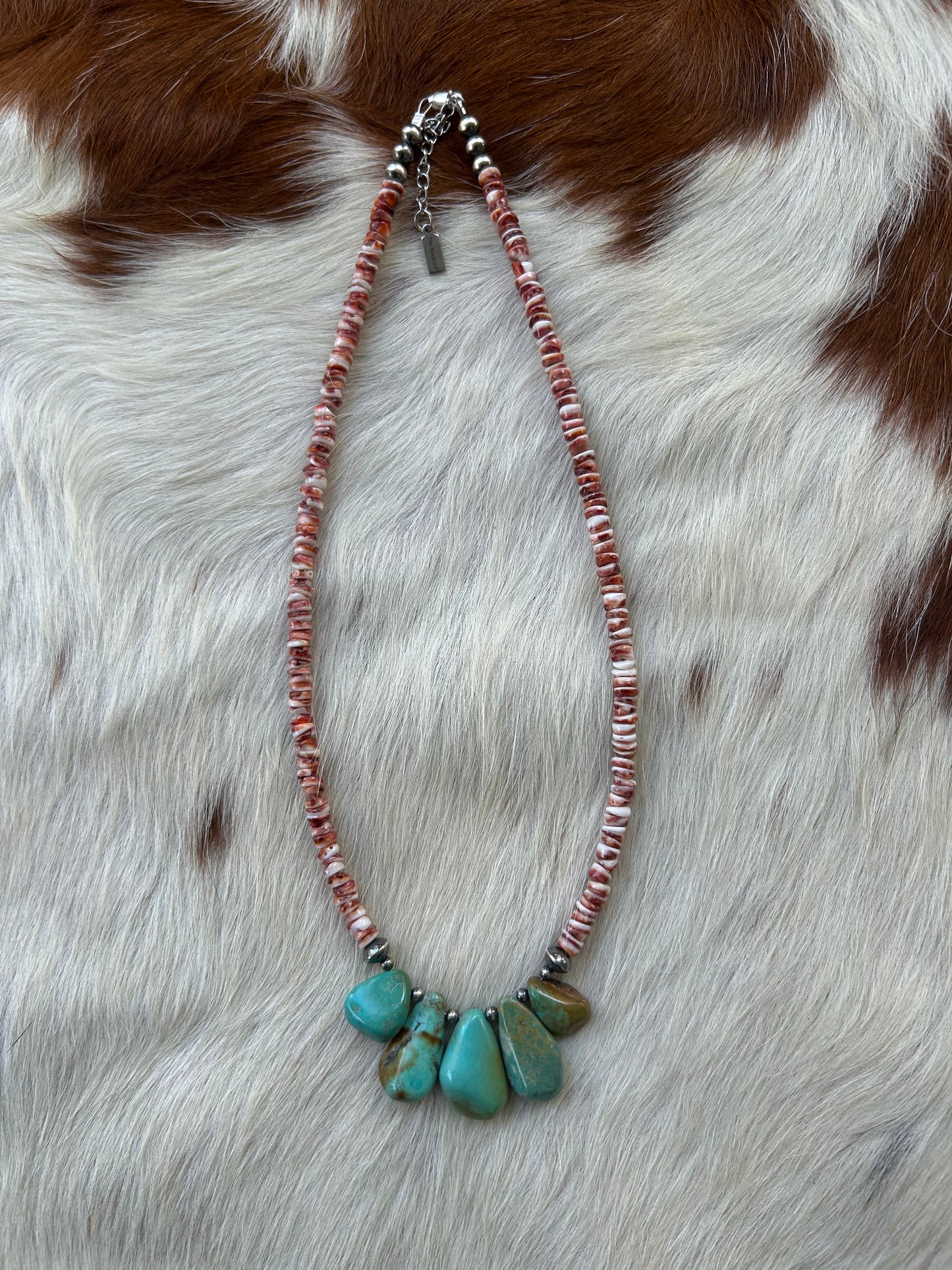 Red white spiny oyster and turquoise