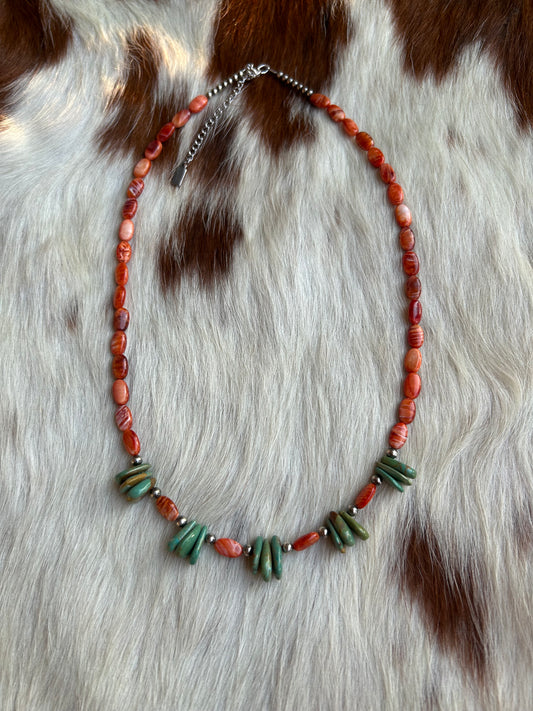 Orange spiny and turquoise