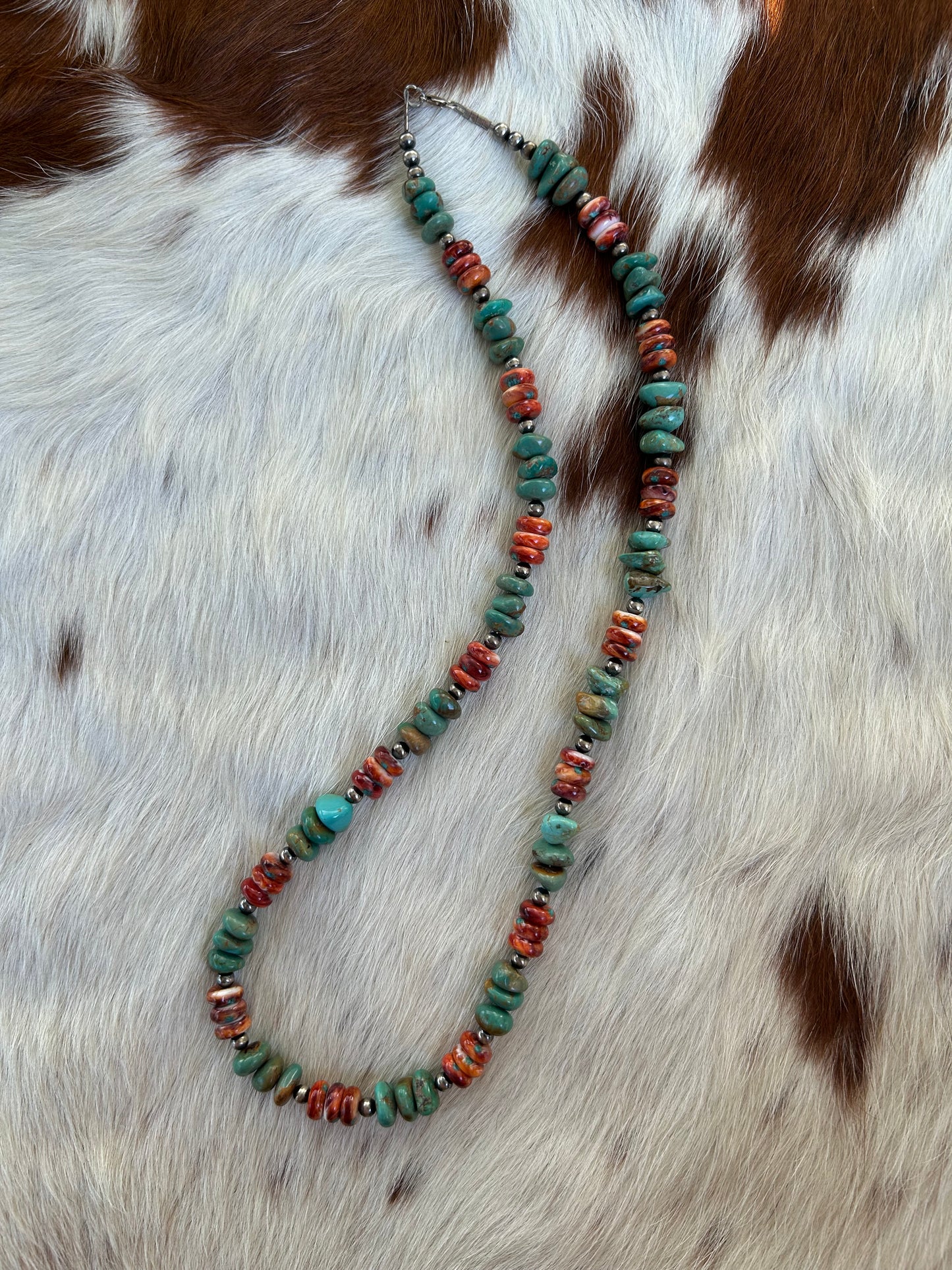 Large spiny and turquoise