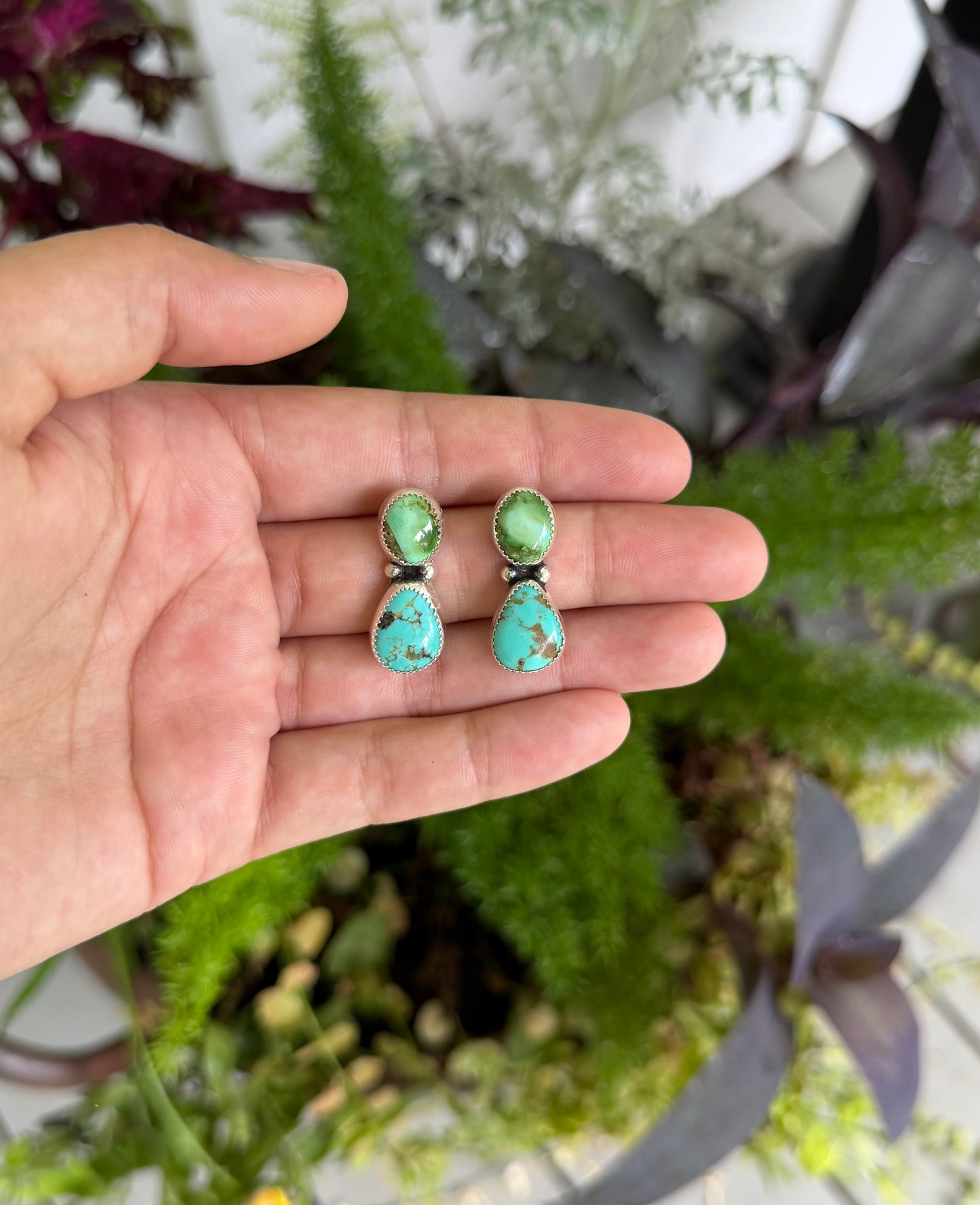 Sonoran studs